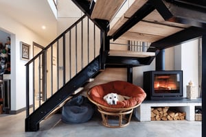 dog in chair in front of a fire