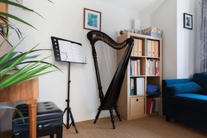 music room with harp and piano