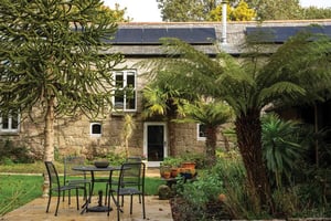 stone farmhouse behind large fern and monkey puzzle tree