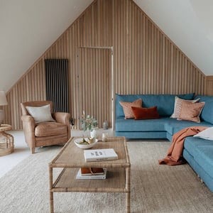 living space with hidden door at end clad in natural vertical timber