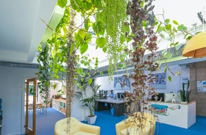 Märraum Architects_Penryn_Warehouse_Studio J plants