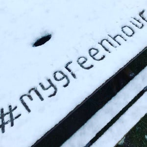 my green hour in the snow